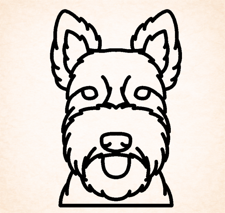 Schotse terrier