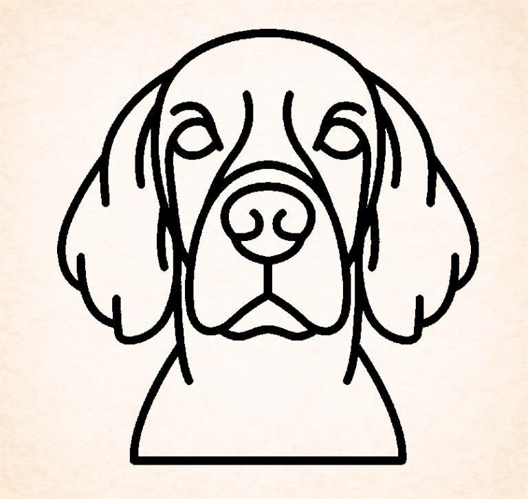 Setter (Ierse)