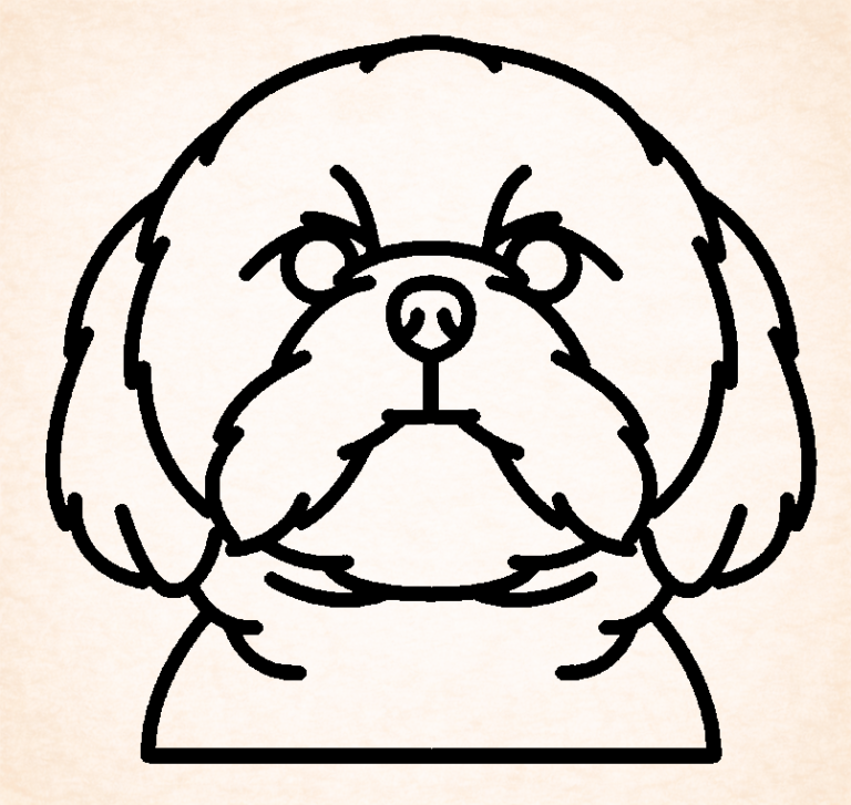 Shih tzu