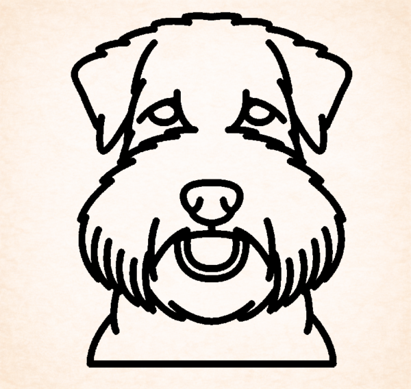 Soft Coated Wheaten terrier