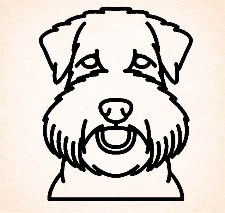 Soft Coated Wheaten terrier