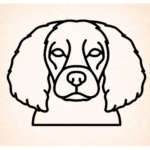 Volgende productafbeelding