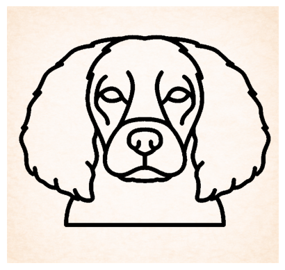 Spaniel (Boykin)