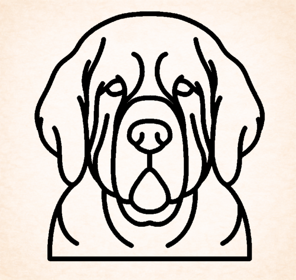 Spaniel (Clumber)