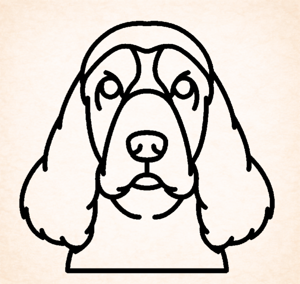 Spaniel (Sussex)