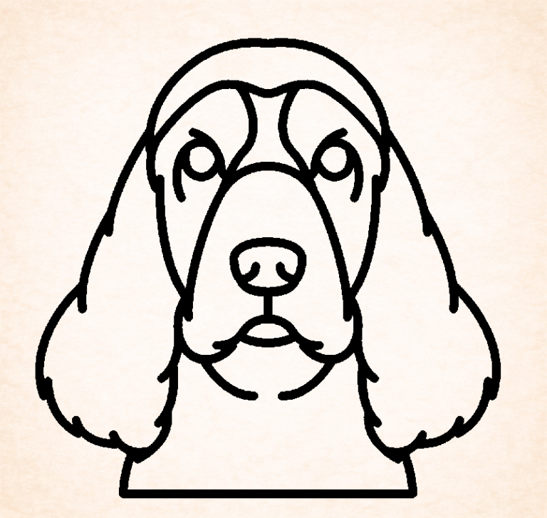 Spaniel (Sussex)