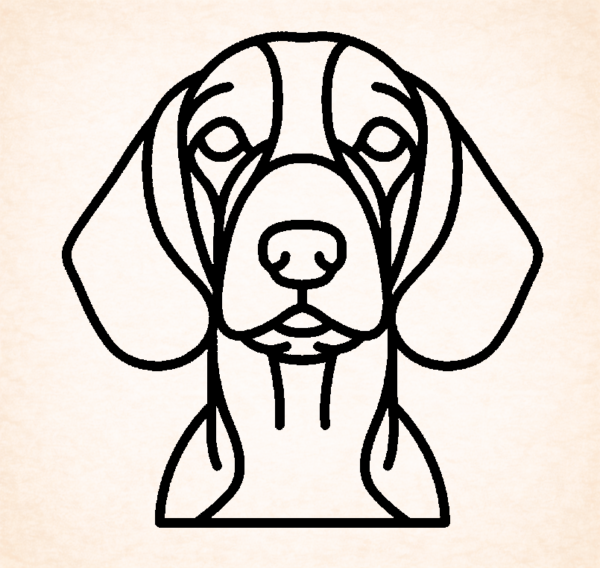 Spaniel (Welsh Springer)