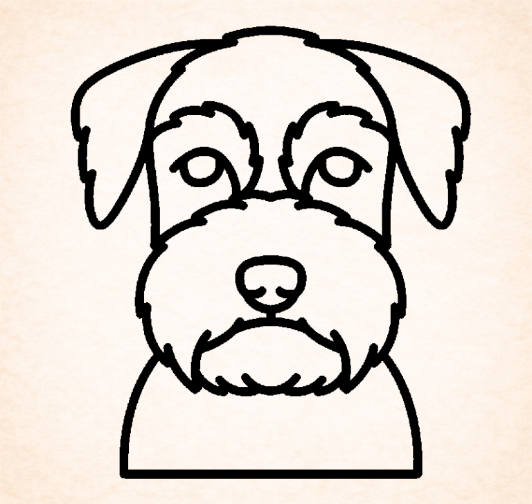 Standaard Schnauzer