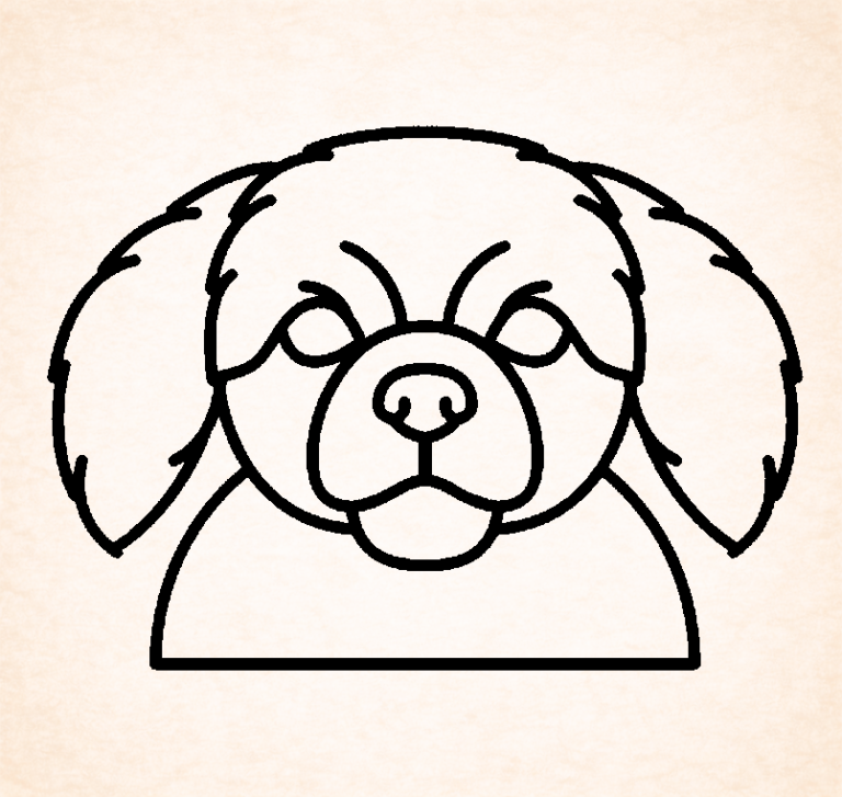 Tibetan Spaniel
