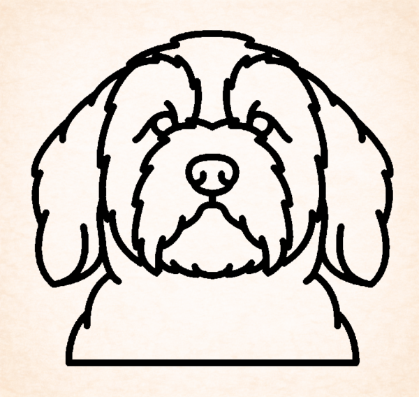 Tibetan terrier