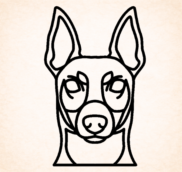 Toy Fox terrier