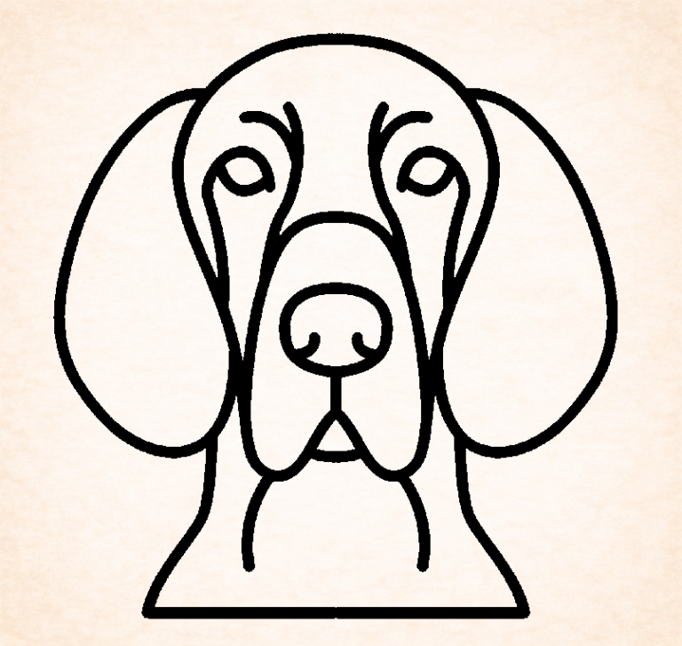 Vizslas