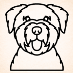 Volgende productafbeelding