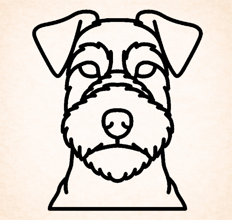 Welsh terrier
