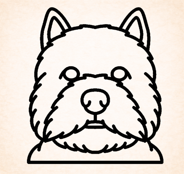 West Highland Whiete terrier