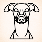 Volgende productafbeelding