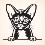 Volgende productafbeelding