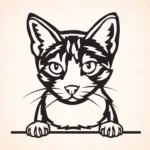 Volgende productafbeelding