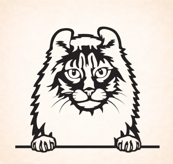 Amerikaanse curl krullen