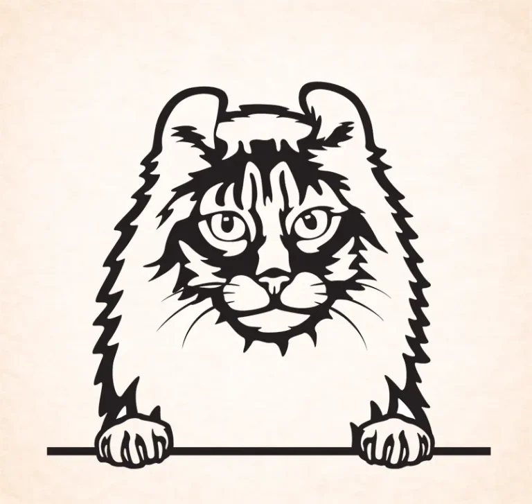 Amerikaanse curl krullen