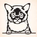 Volgende productafbeelding