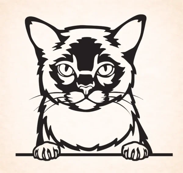 Amerikaanse draadhaar