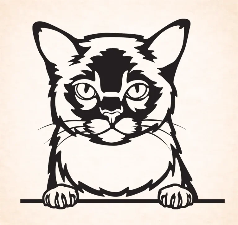 Amerikaanse draadhaar