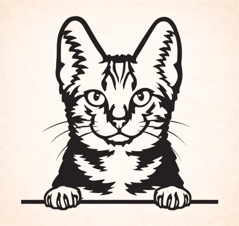 Amerikaanse korthaar