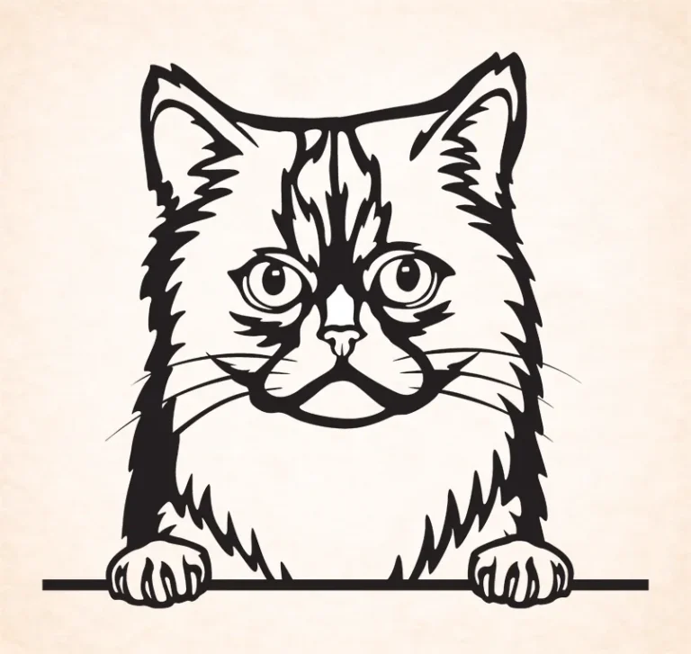 Asiatische half-langhaar