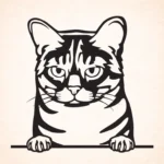 Vorige productafbeelding