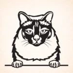 Volgende productafbeelding