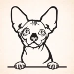 Volgende productafbeelding