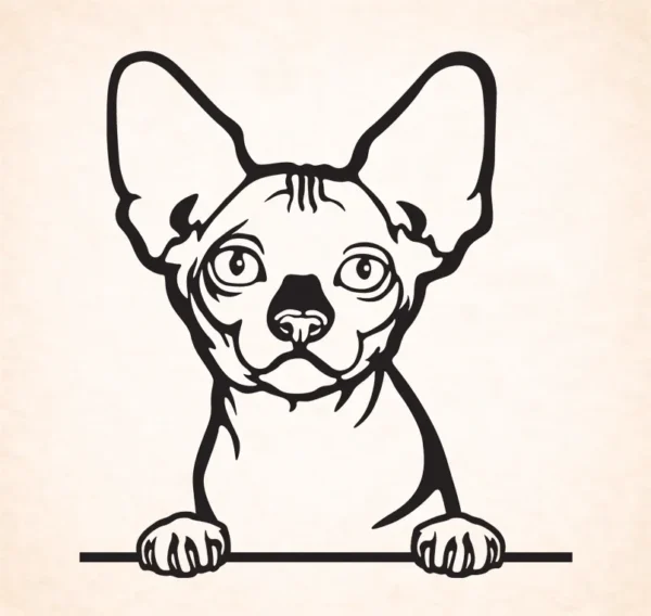 Bambino