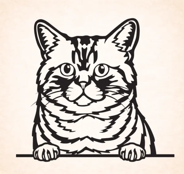 Braziliaanse korthaar