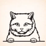 Volgende productafbeelding