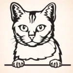 Volgende productafbeelding