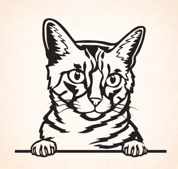 Californische Spangled