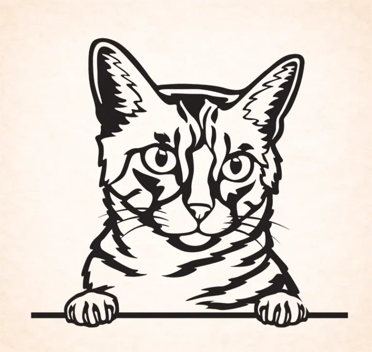 Californische Spangled