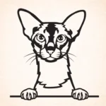 Volgende productafbeelding