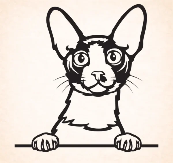 Cornische Rex - Devon Rex