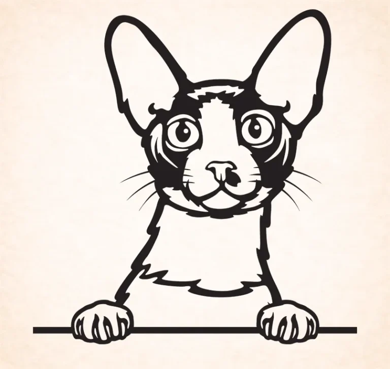 Cornische Rex- Devon Rex