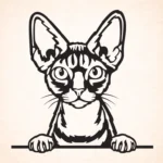 Vorige productafbeelding