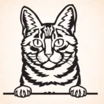 Volgende productafbeelding