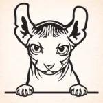 Volgende productafbeelding