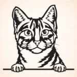 Volgende productafbeelding