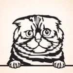 Volgende productafbeelding